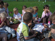 Lekker picknicken op het veld